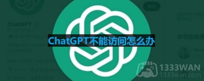 chat partner无法连接网络