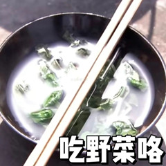 王宝钏挖野菜是第几集