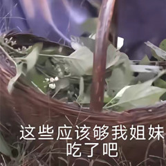 王宝钏挖野菜是第几集