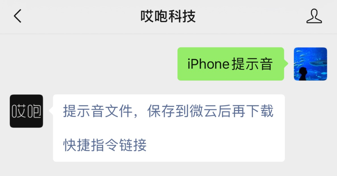 iPhone 能修改充电提示音了！