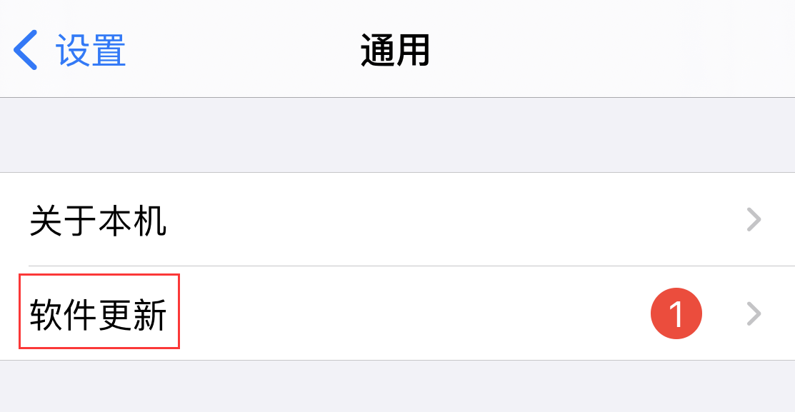 iOS14小技巧：可设置避免iPhone自动升级系统