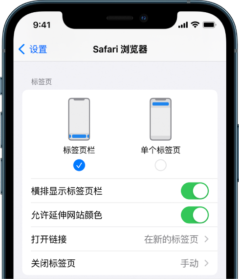 iOS 15 使用技巧：在 Safari 浏览器中使用标签页