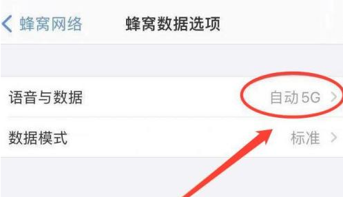 iPhone 13恒定4G设置方法