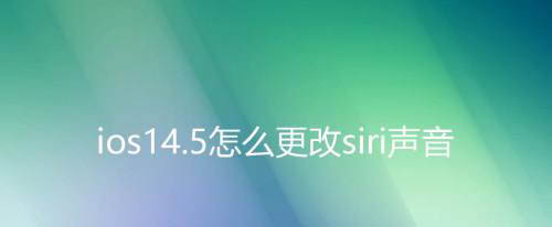 ios14.5中Siri语音怎么更换? iOS14.5版本Siri语音更换方法