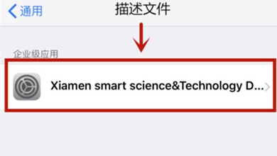 苹果12在哪里设置开启app的信任授权?