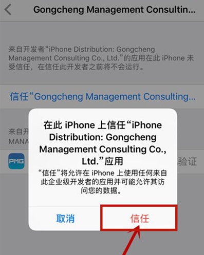 苹果12在哪里设置开启app的信任授权?