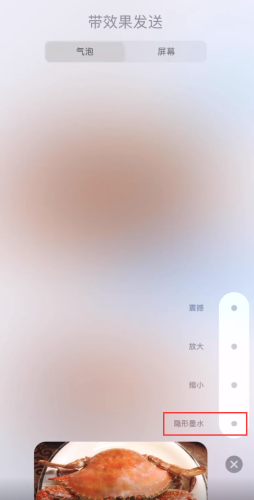 iOS14如何用隐形墨水效果发送图片信息