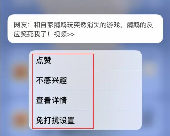 iPhone 13 漏洞频发，刚到手就要翻车？