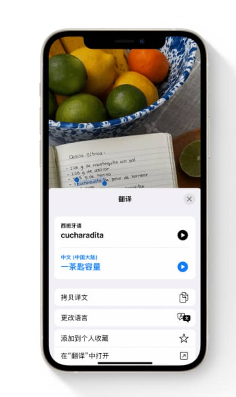 iOS15实况文本功能支持哪些设备 iOS15如何使用实况文本功能