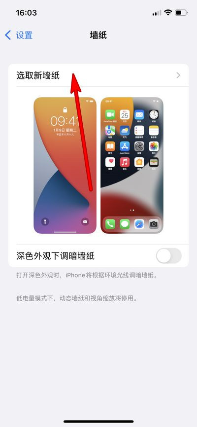 iphone13pro手机如何更换墙纸?iphone13pro更换主题壁纸的方法