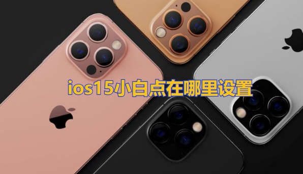 ios15小白点在哪里设置