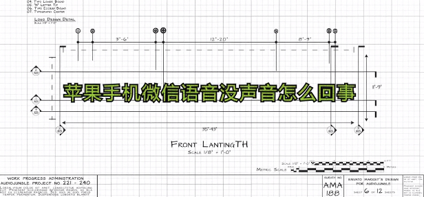 苹果手机微信语音没声音怎么回事