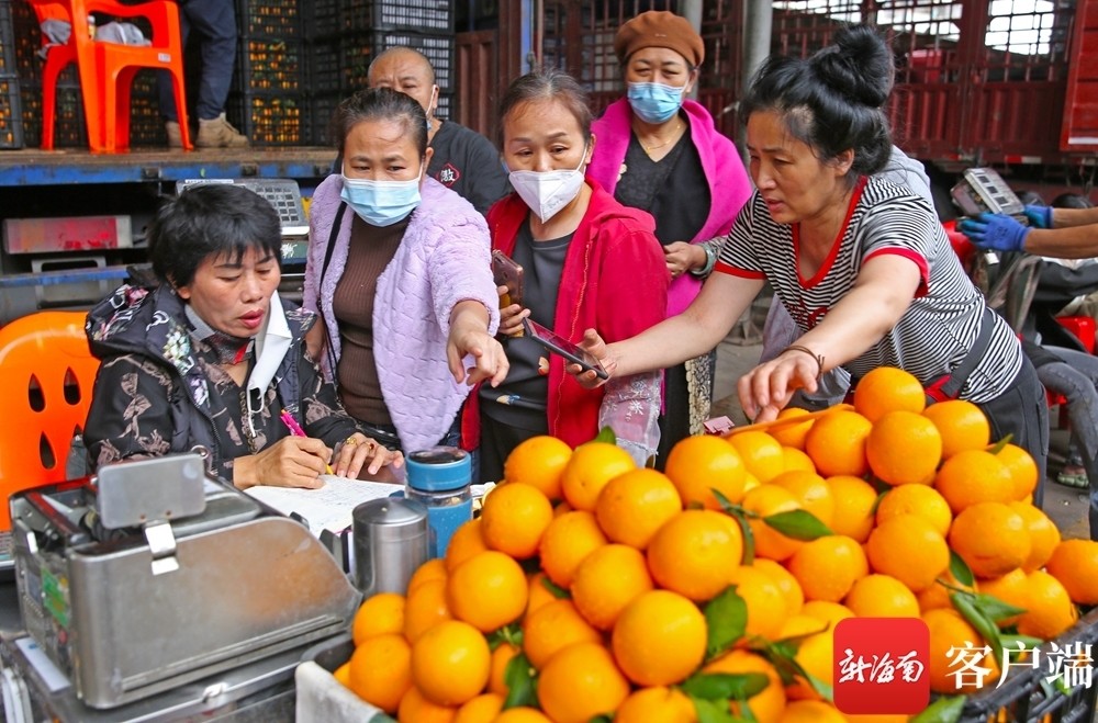 原创组图｜春节临近 海口南北水果批发市场桔子、橙子、苹果供销“两旺”