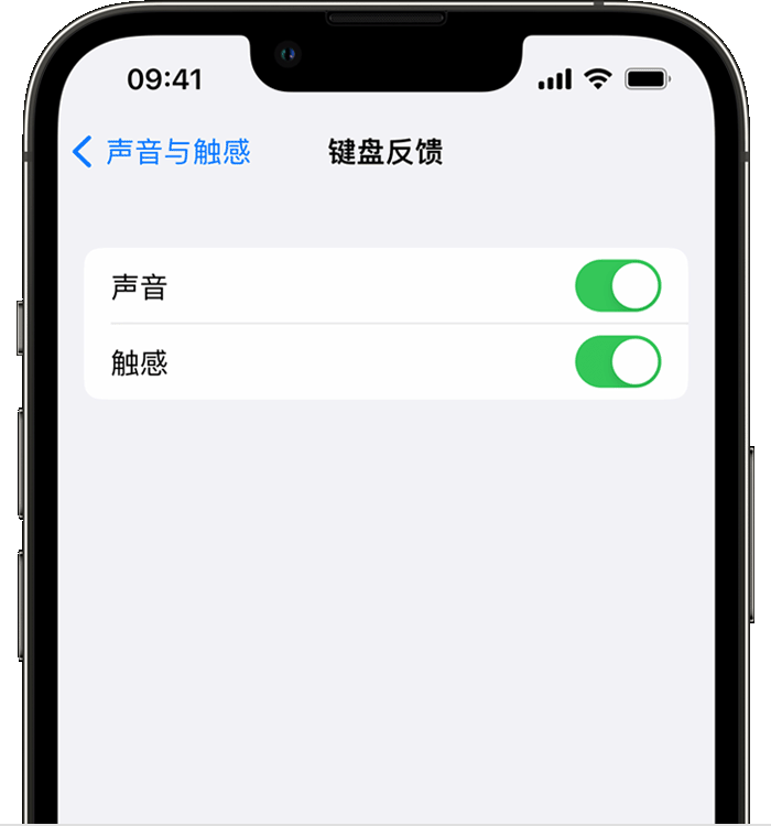 iPhone14机型如何开启键盘声音或触感反馈 iPhone14机型开启键盘声音或触感反馈方法