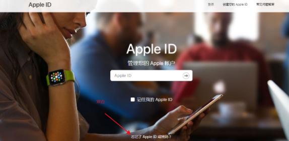 忘记apple id密码怎么办（这波操作帮你轻松解决）