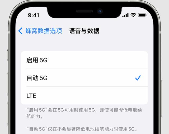 苹果5g手机怎么用5g网络（苹果手机5g的最好设置方法）