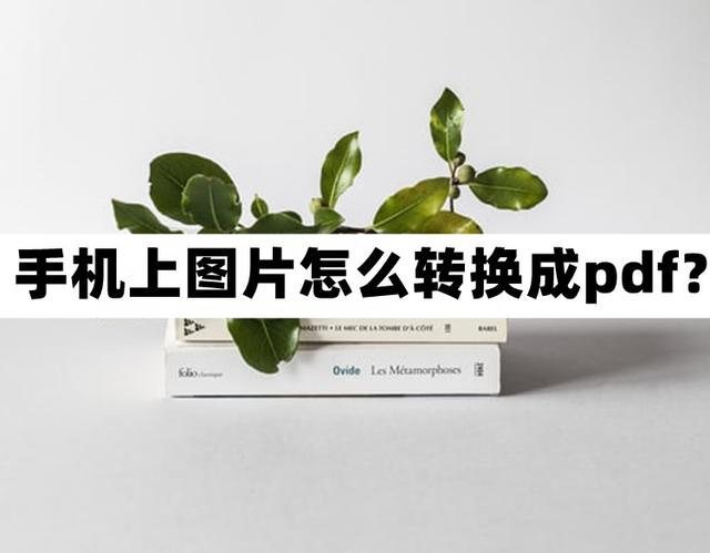 手机图片转pdf格式怎么弄（这几个方法好用分享给你们）