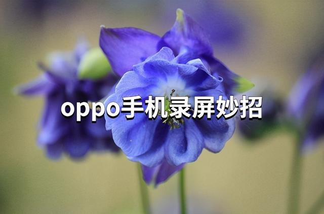 oppo怎么录屏在哪里找（oppo手机自带的录屏工具在哪）