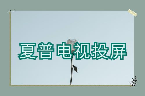 夏普电视怎么投屏（手机投屏电视的3个方法简单又高效）