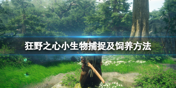 狂野之心小生物要怎么样抓捕[狂野之心小生物驯化的方法]