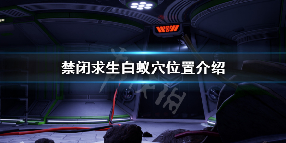 禁闭求生白蚁巢穴具体的位置信息[禁闭求生白蚁巢穴要去哪里寻找]