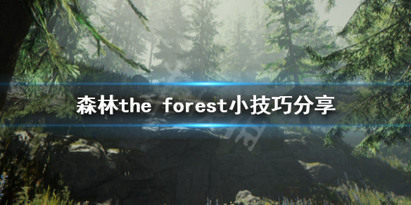 森林游戏需要什么技巧The[Forest游戏如何玩]