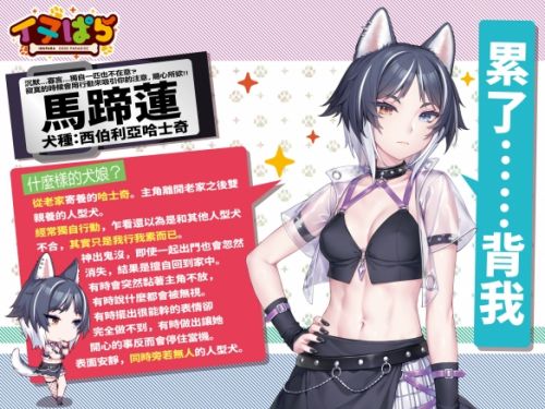 巧克力与香子兰开发商新作《犬娘乐园》公开亮相