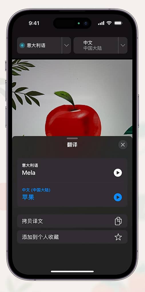 iPhone如何通过摄像头取景翻译文本 iPhone通过摄像头取景翻译文本方法