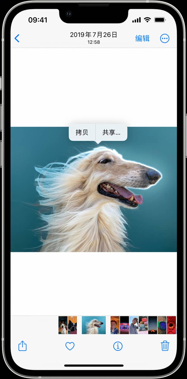 iOS16哪些机型支持一键抠图功能 iOS16一键抠图功能支持机型介绍