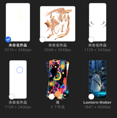 procreate pocket怎样预览图片