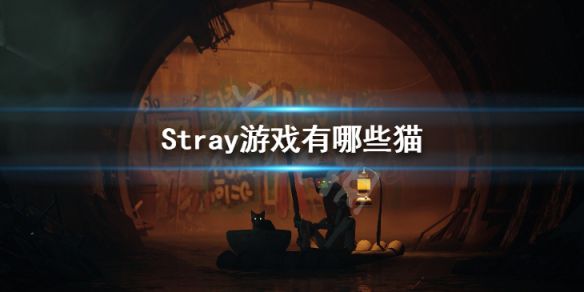 《迷失》Stray游戏有哪些猫 Stray游戏猫品种介绍