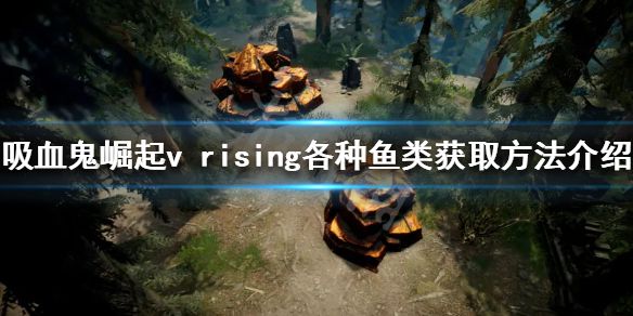 《吸血鬼崛起》鱼如何获得？v rising各种鱼类获取方法介绍