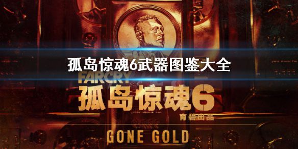 《孤岛惊魂6》武器图鉴大全 全武器种类有哪些？