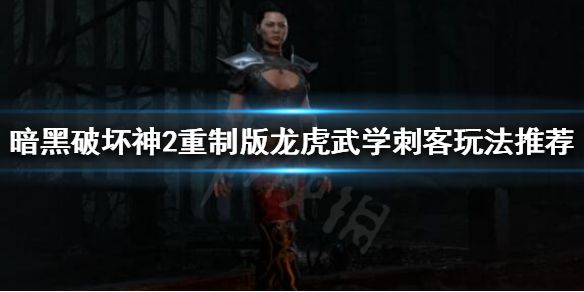 《暗黑破坏神2重制版》新手刺客怎么玩？龙虎武学刺客玩法推荐