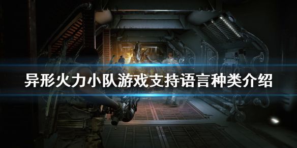 《异形火力小队》中文有吗？游戏支持语言种类介绍