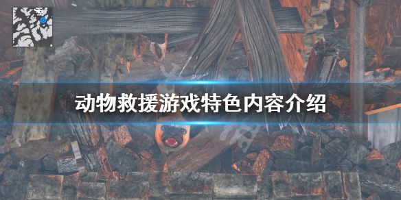 《动物救援》游戏好玩吗？游戏特色内容介绍