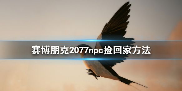 《赛博朋克2077》NPC怎么捡 npc捡回家方法