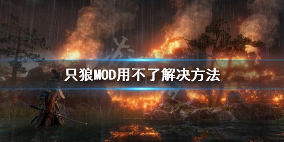 《只狼影逝二度》MOD怎么安装？MOD用不了解决方法