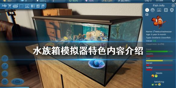 《水族箱模拟器》好玩吗 游戏特色内容介绍