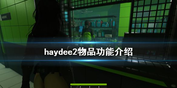 《haydee2》物品有什么用 物品功能介绍