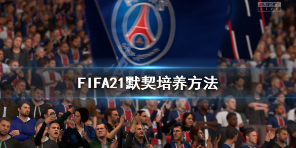 《FIFA21》默契怎么培养 默契培养方法