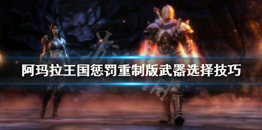 《阿玛拉王国惩罚重制版》武器怎么选择 武器选择技巧