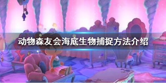 《集合啦动物森友会》怎么抓海洋生物 海底生物捕捉方法介绍