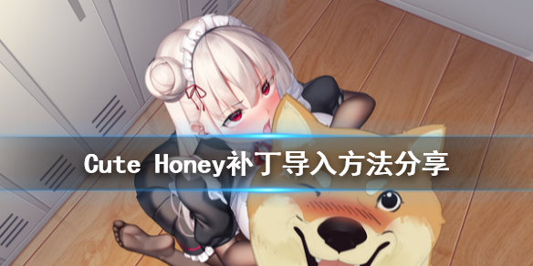 《可爱的宝贝》补丁怎么用 Cute Honey补丁导入方法分享