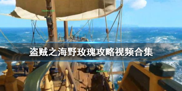 《盗贼之海》野玫瑰攻略视频合集 野玫瑰任务怎么完成？