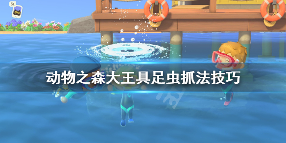 《集合啦动物森友会》大王具足虫怎么抓？大王具足虫抓法技巧