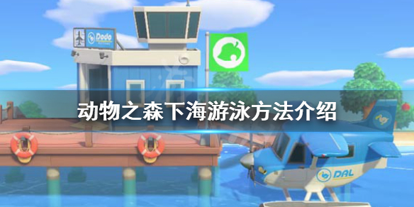 《集合啦动物森友会》怎么下海 下海游泳方法介绍