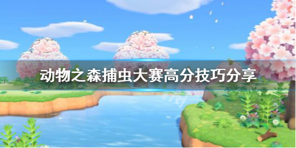 《集合啦动物森友会》捕虫大赛高分怎么刷 捕虫大赛高分技巧分享