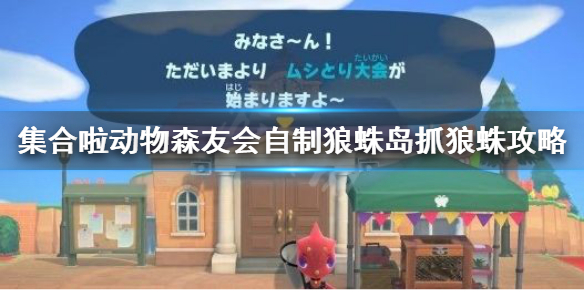 《集合啦动物森友会》怎么自制狼蛛岛 自制狼蛛岛抓狼蛛攻略