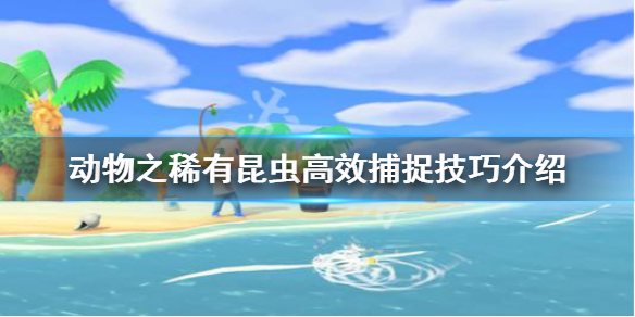 《集合啦动物森友会》稀有虫类怎么抓 稀有昆虫高效捕捉技巧介绍